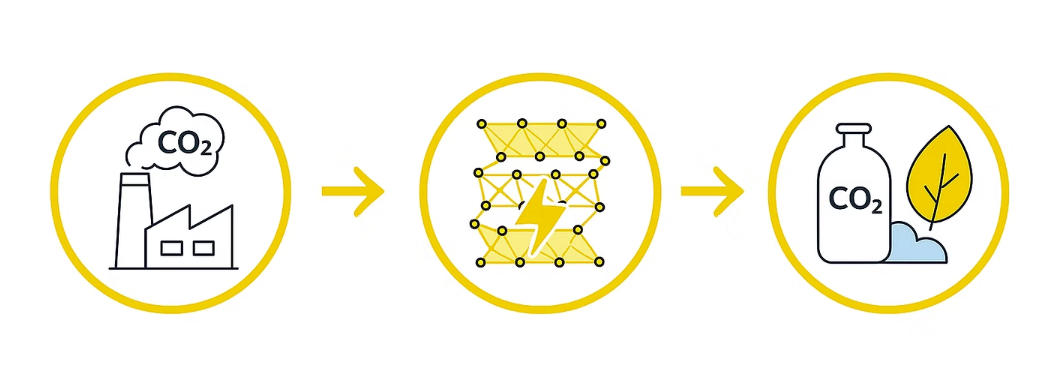calico2 interface